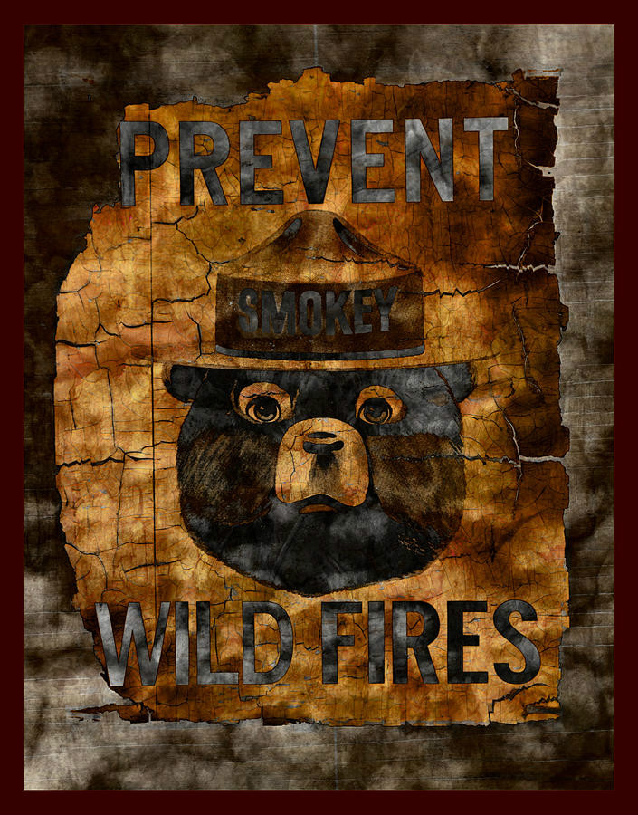 Smokey The Bear Poster | Image by John Stephens  pixels.com