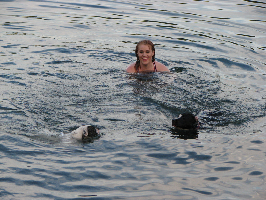 Dogs Swimming