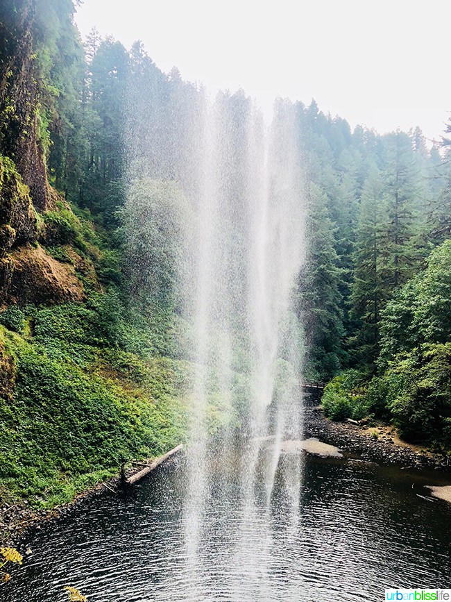 Hiking in Oregon: Silver Falls State Park