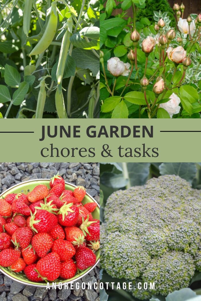 June garden tasks_pin image