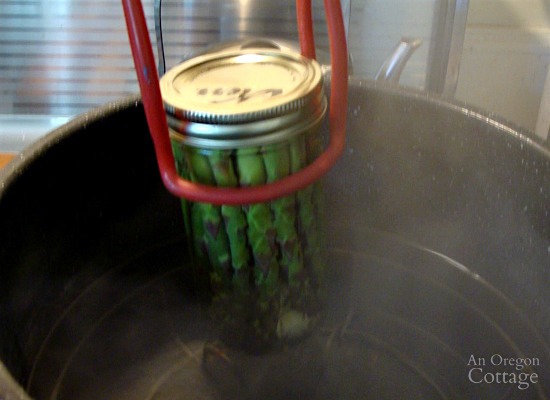Pickling and Canning Asparagus_12-adding jar to canner