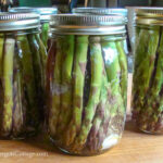 jars of pickled asparagus