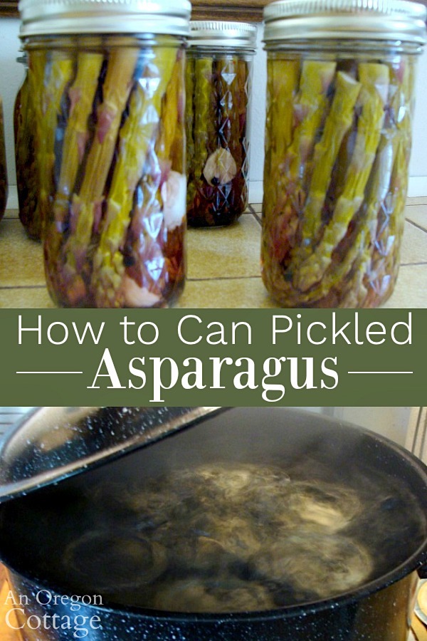 How to can pickled asparagus