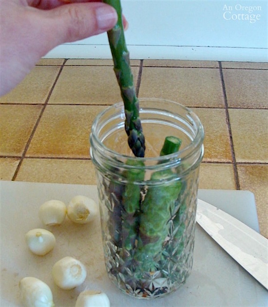 Pickling and Canning Asparagus_5-packing asparagus into jars