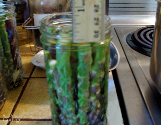 Pickling and Canning Asparagus_9-measuring headspace