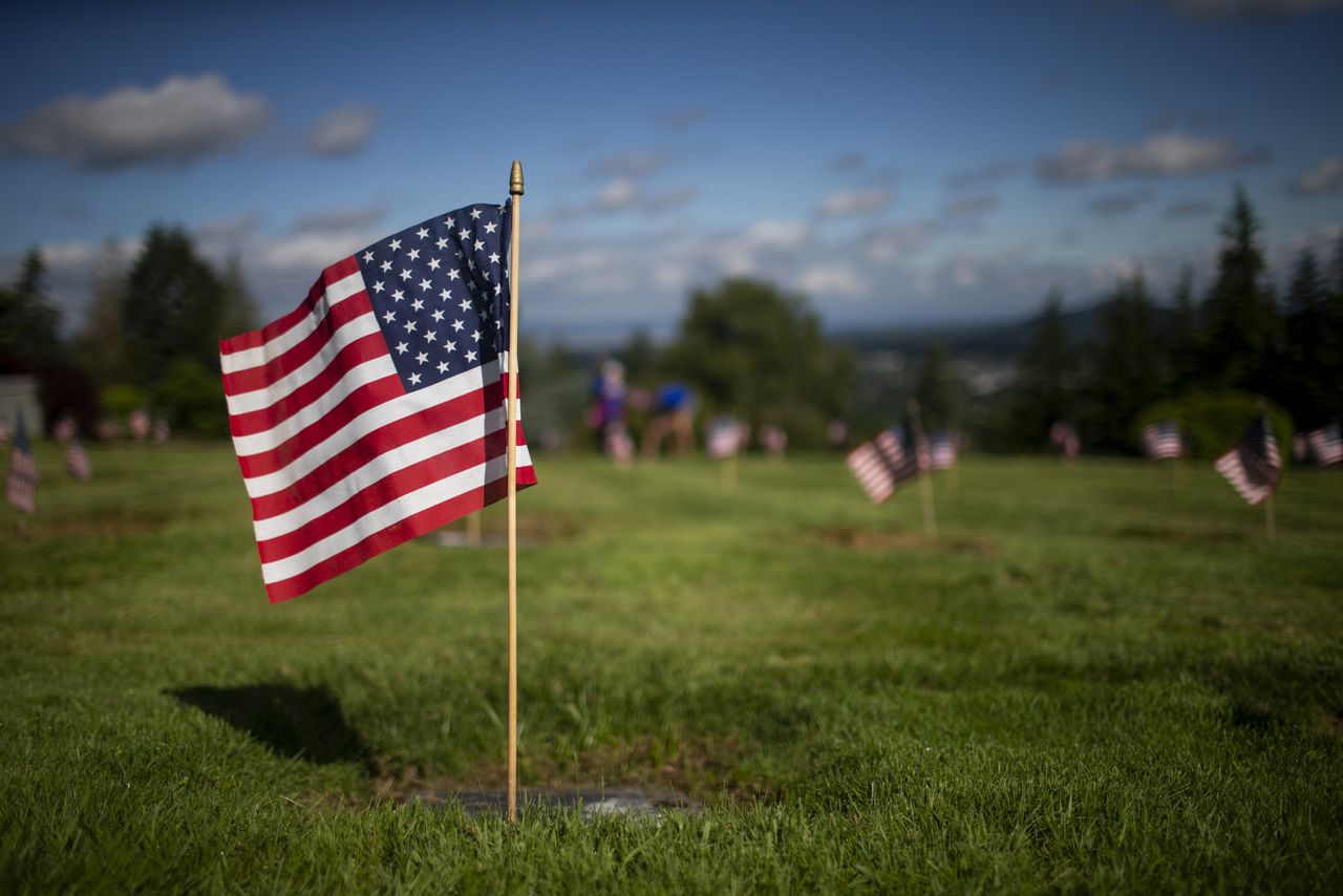 A miniature American flag is in the foreground to frame left, while others are in soft focus in the background in a field of grass