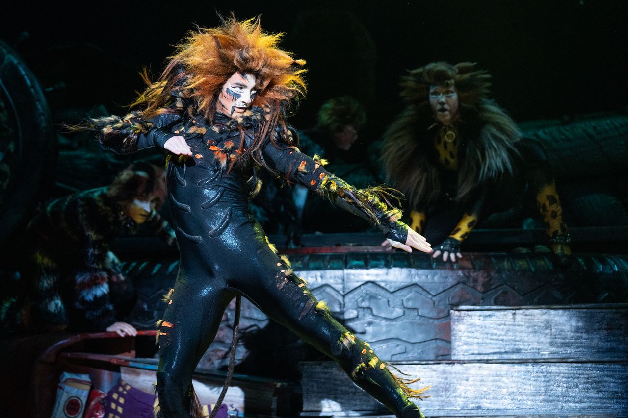 An actor dressed as a cat performs on stage