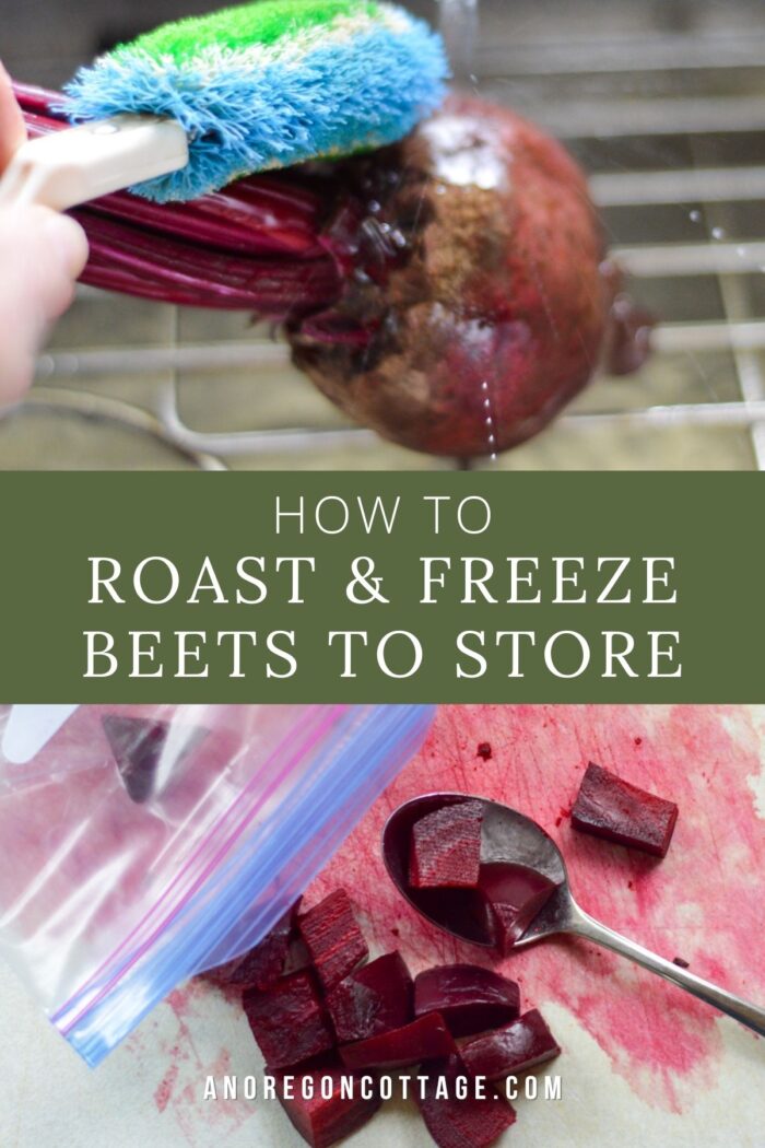 freeze beets to store