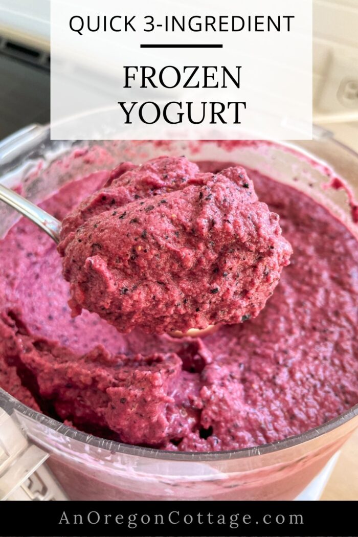 quick frozen yogurt recipe