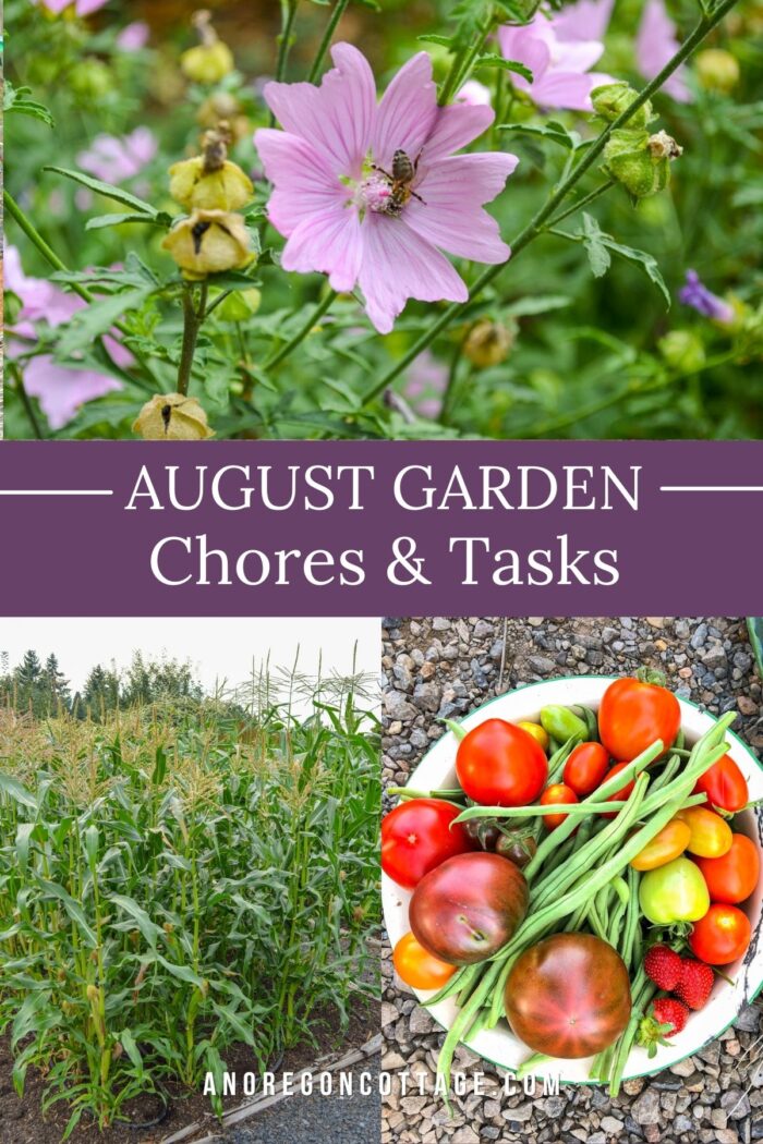 august garden chores-flowers and vegetables