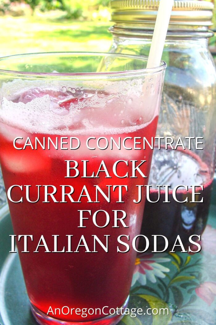Canned Black Currant Juice Concentrate (For Italian Sodas & More)