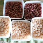 Freeze Dry Beans-Cooked dry beans ready for freezer