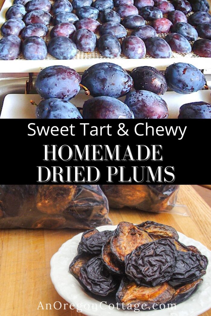 homemade dried plums