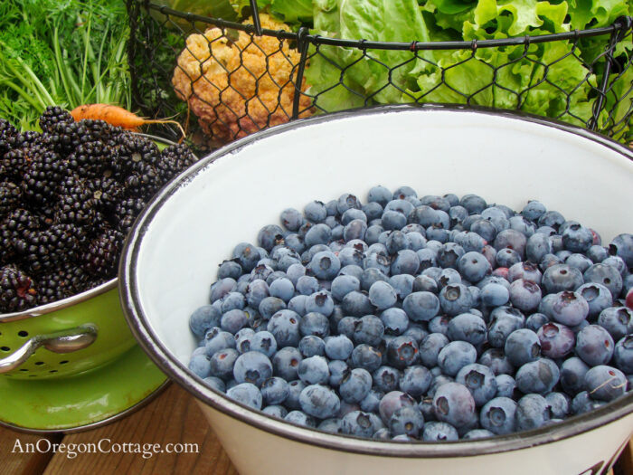 blueberries and July harvest