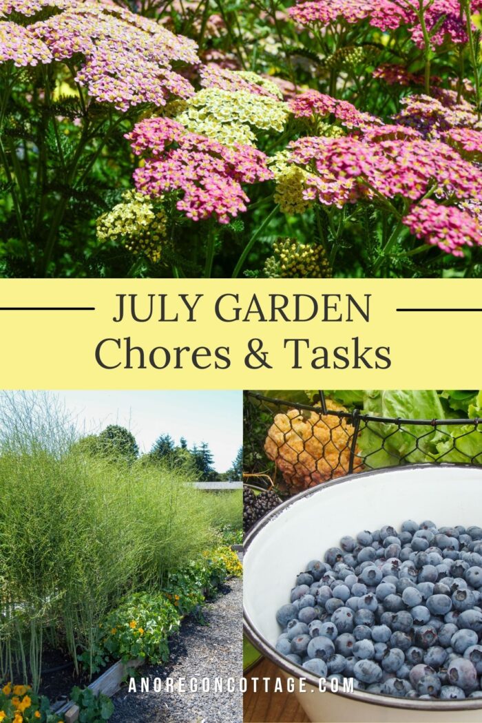 July garden chores
