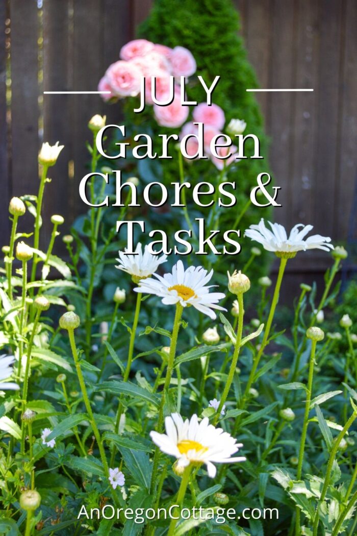 July garden tasks