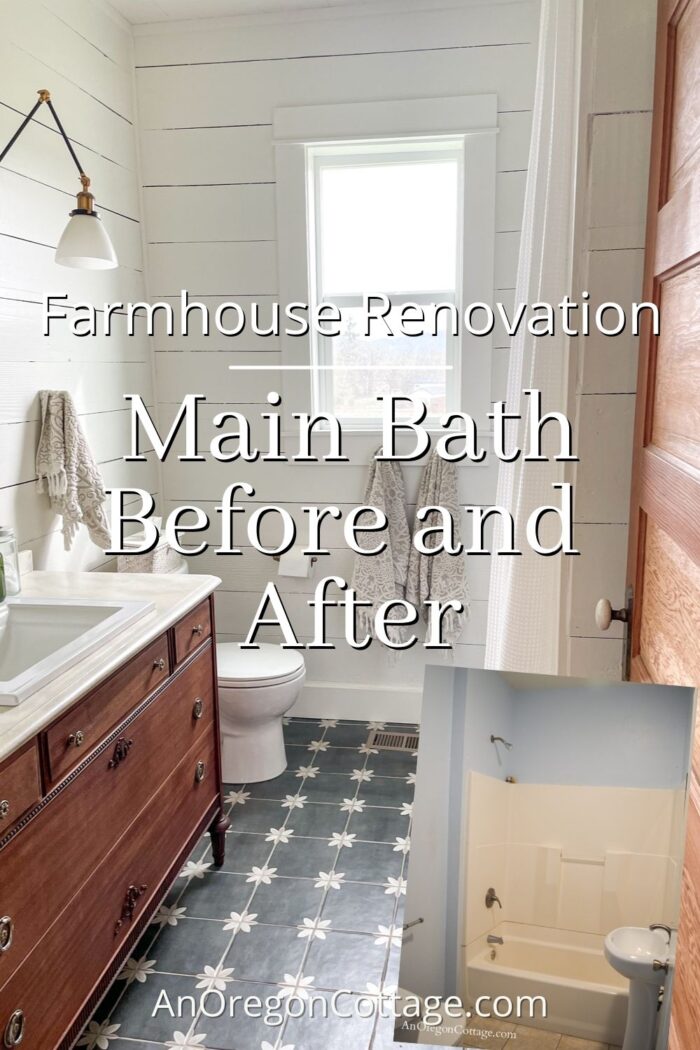 farmhouse main bath before-after