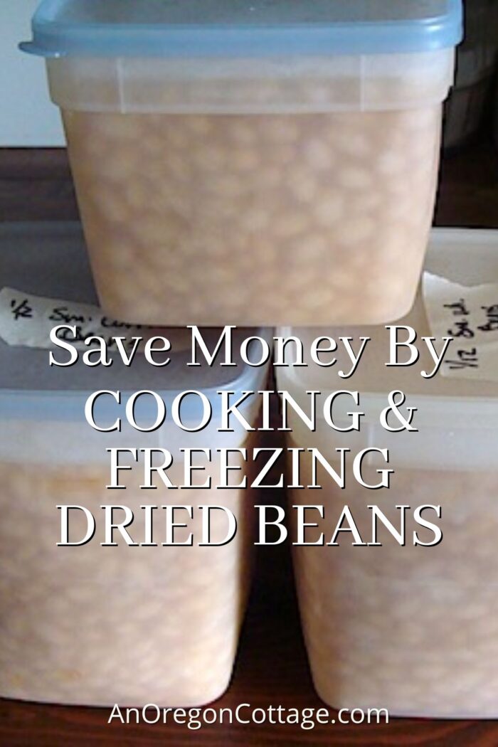 How To Cook & Freeze Dried Beans