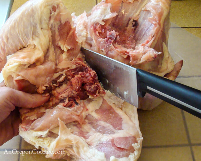 cutting a whole chicken step 3 the legs