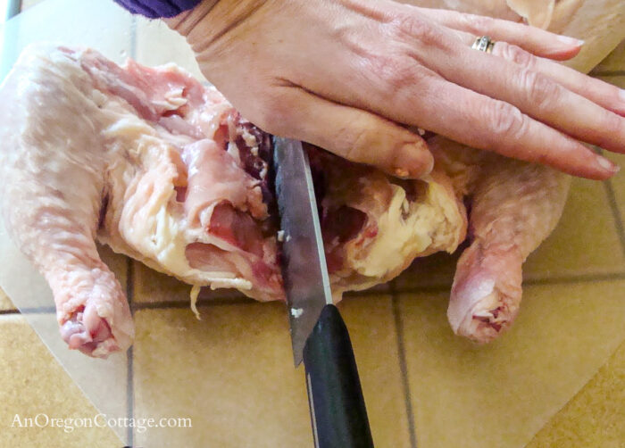 cut whole chicken step 4-separating leg joints