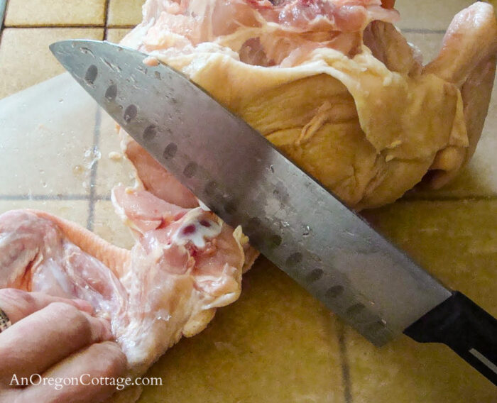 cutting up whole chicken-cutting wing from body