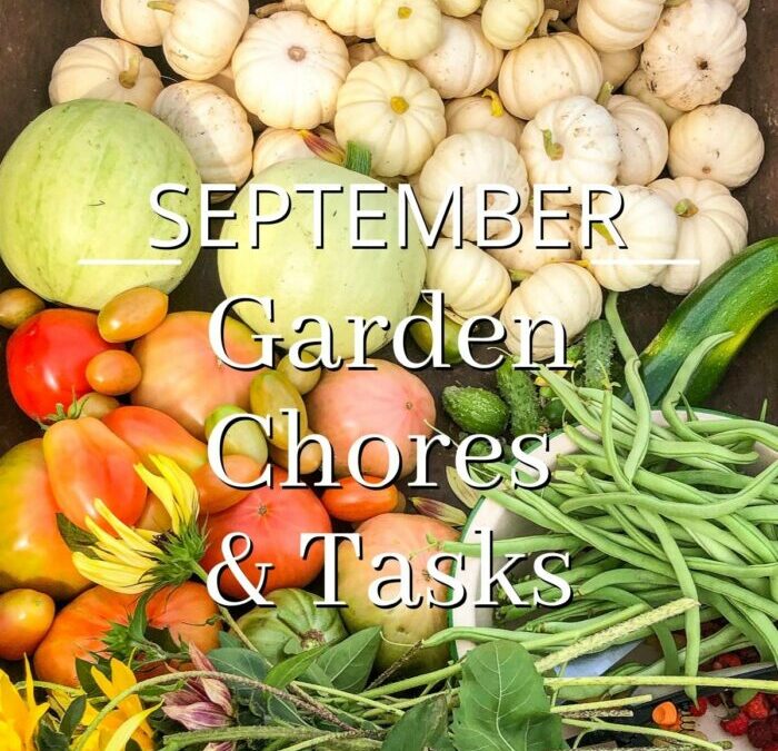 September Garden Chores & Tasks (PNW & Similar Zones)