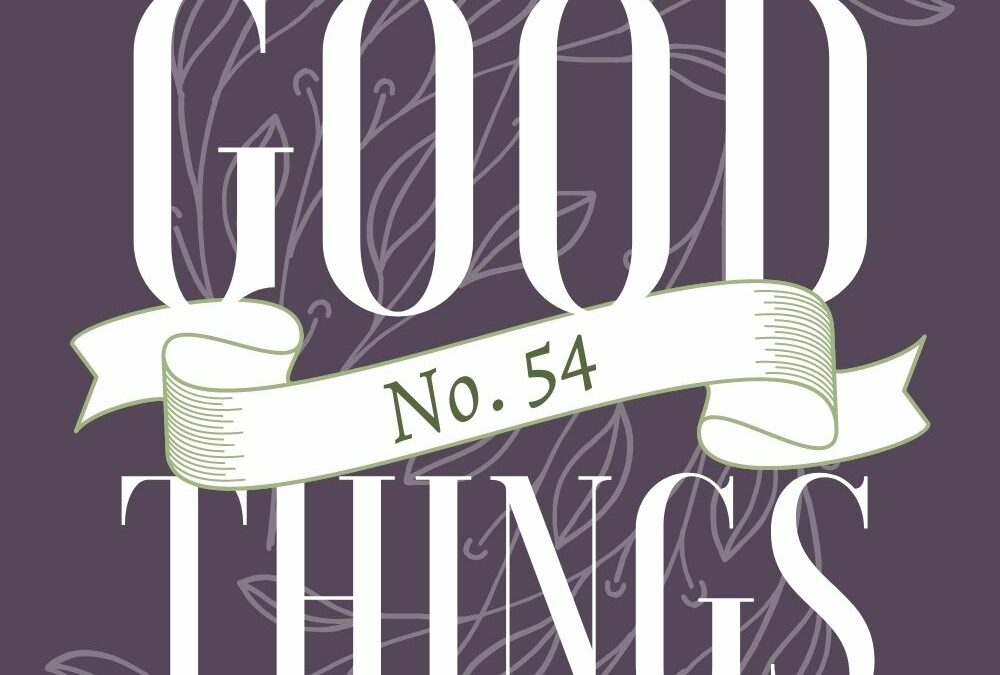 Good Things No.54: DIY Blanket Ladder, New Cement, Good Stain Remover, Books & More