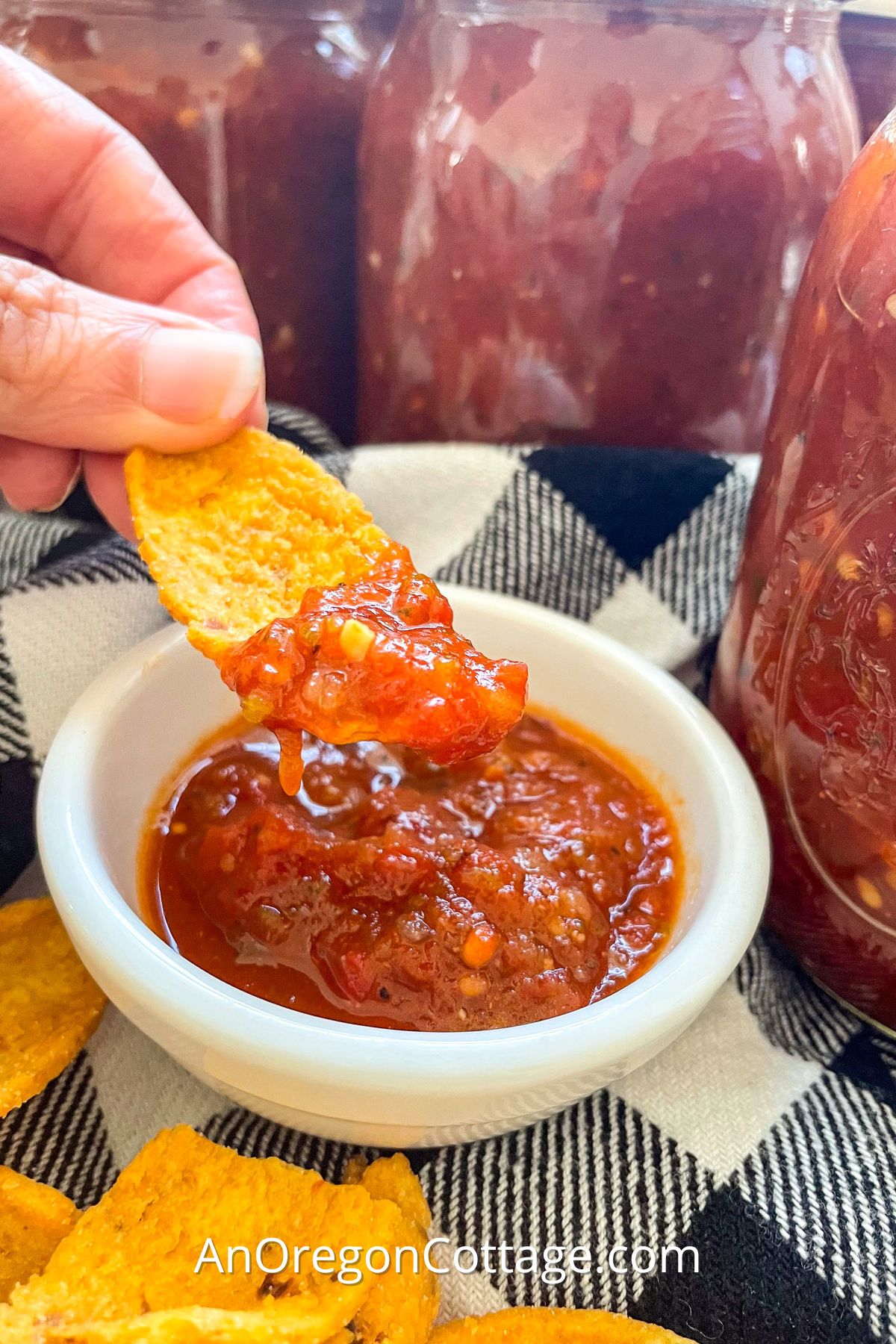 roasted chipotle salsa on chip