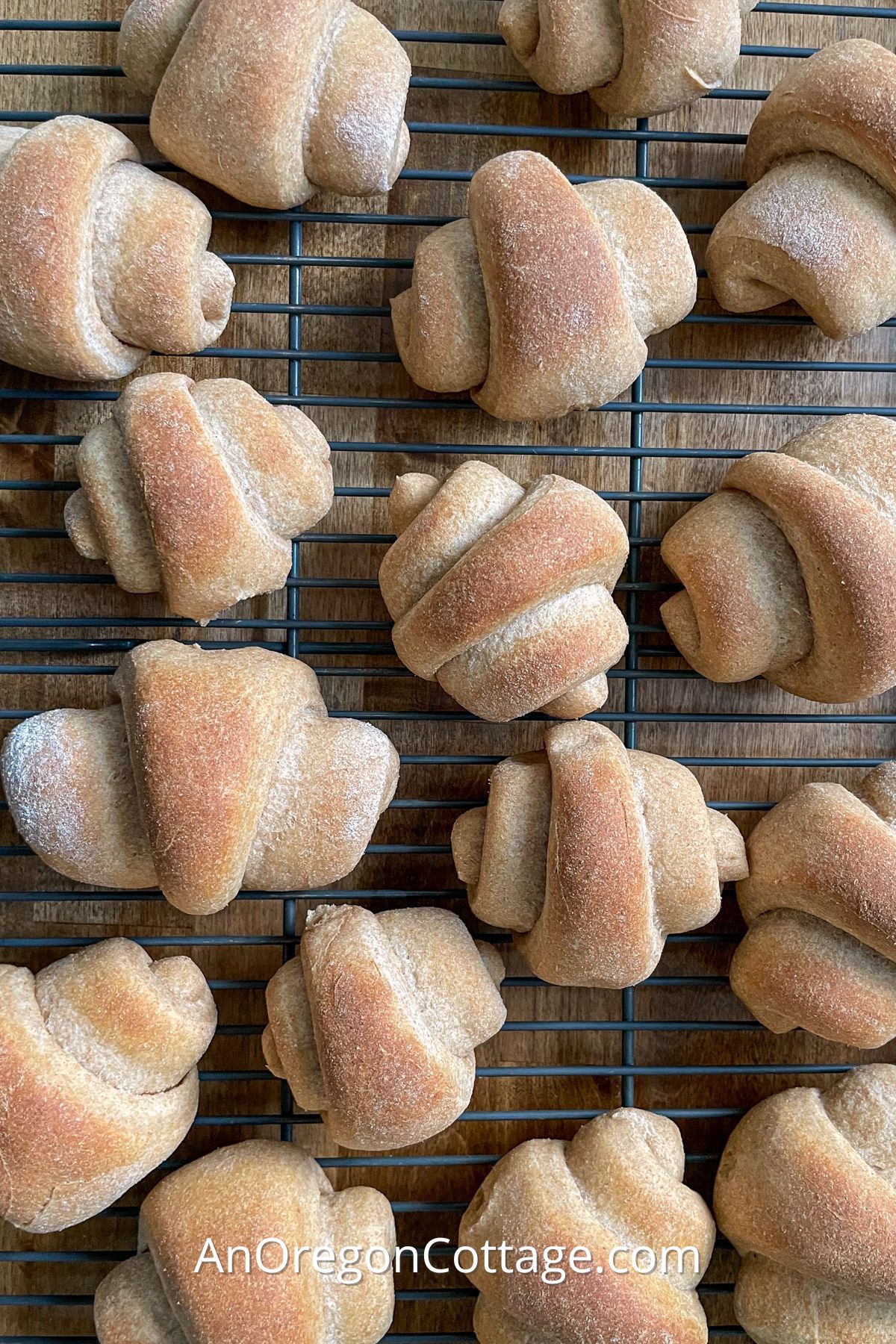 whole wheat crescent rolls above