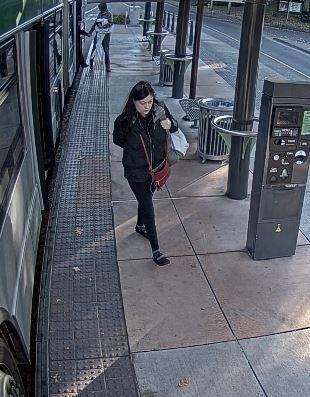 Can you ID these potential bus homicide witnesses?