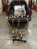 Oregon State Police Fish & Wildlife Division Troopers investigate unlawful take of big game animals – Umatilla County (Photo)
