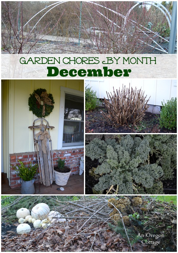 A list of things to do in the garden for December