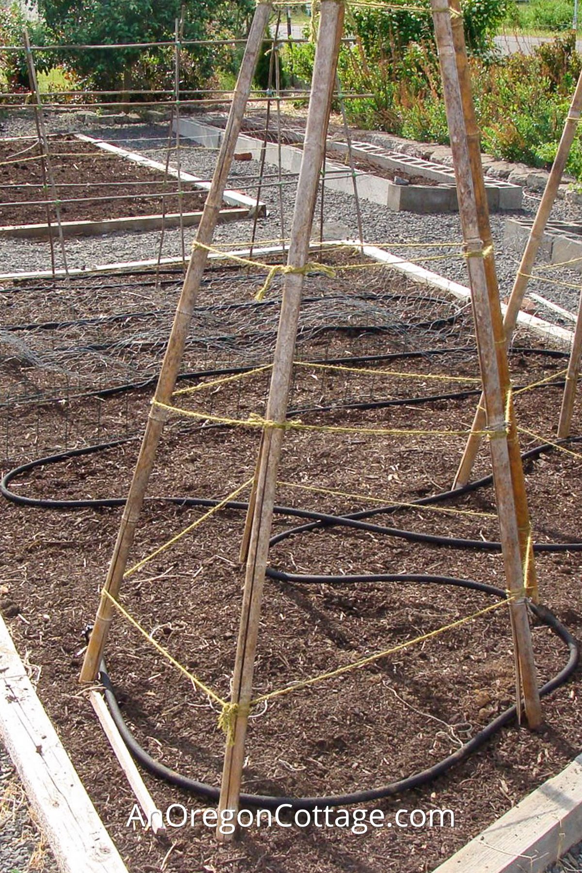 how to plant a no till garden bed