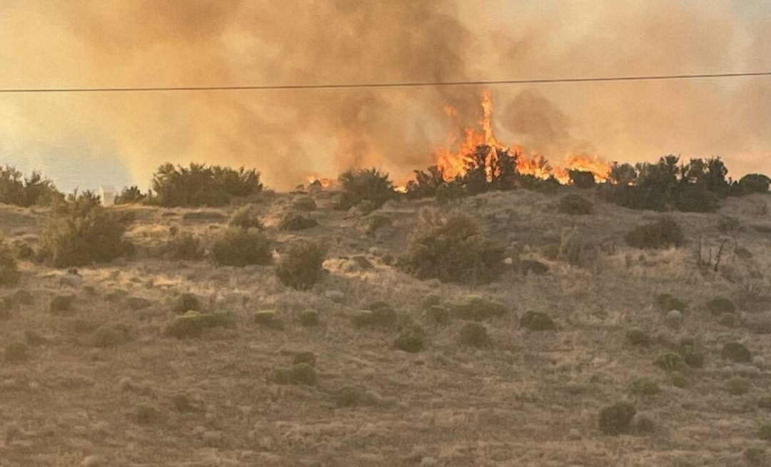 Brush fire burns 60 acres near Umatilla