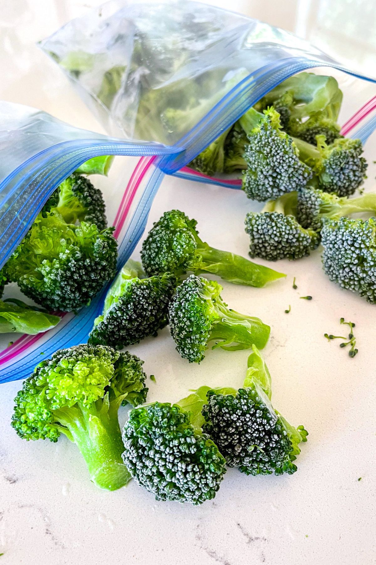 How to Freeze Broccoli – Blanched & Unblanched