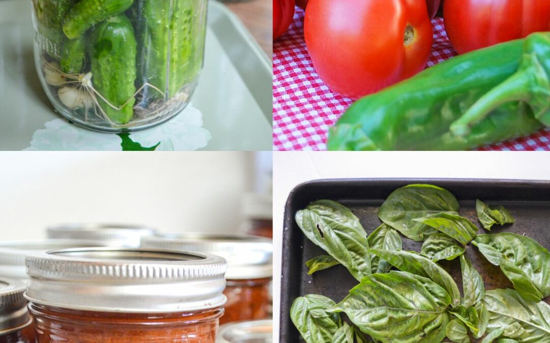36+ Recipes For Preserving Vegetables (Freezing, Drying, Canning & Fermenting)