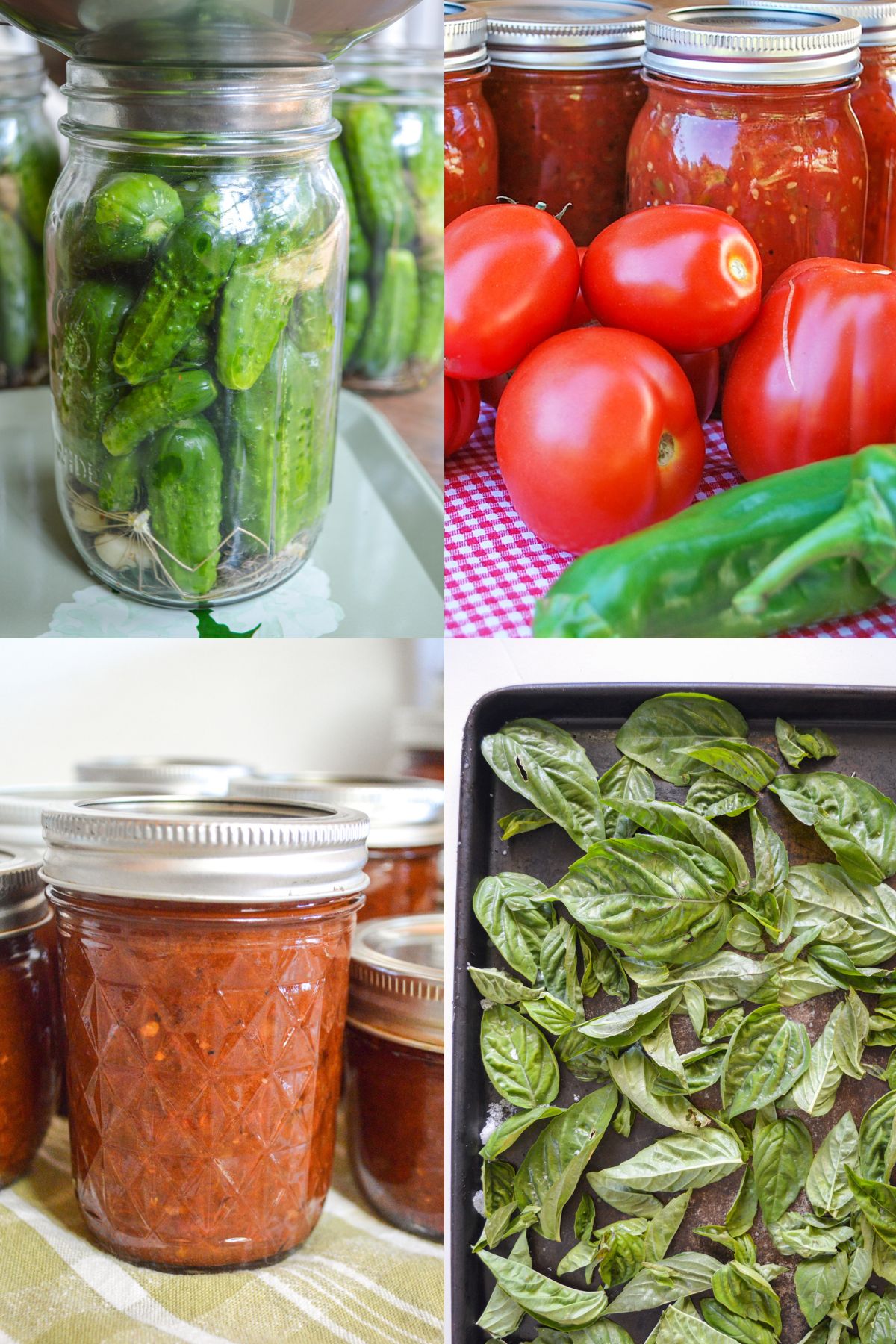 four vegetable preserving recipes
