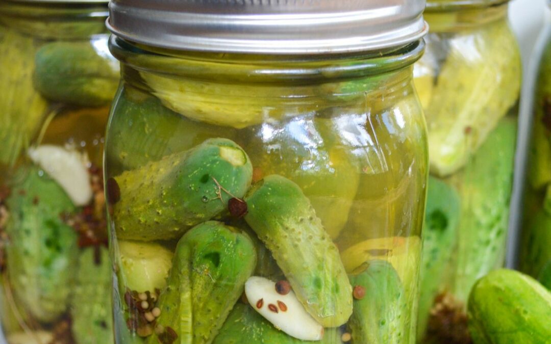Easy Refrigerator Garlic Dill Pickles (And Why It’s Better Than Canning)