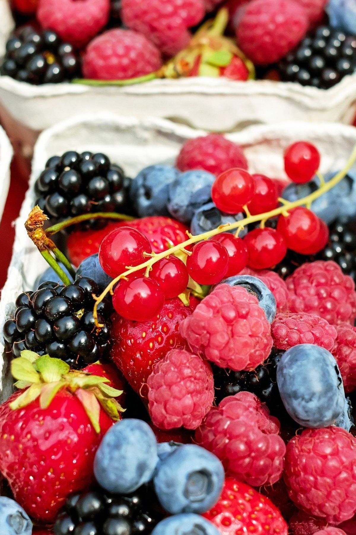 cardboard basket of berries and currants