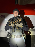 Trooper with rescued puppies