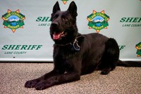 LCSO Adds Drug Detection Dog to Canine Unit (Photo)