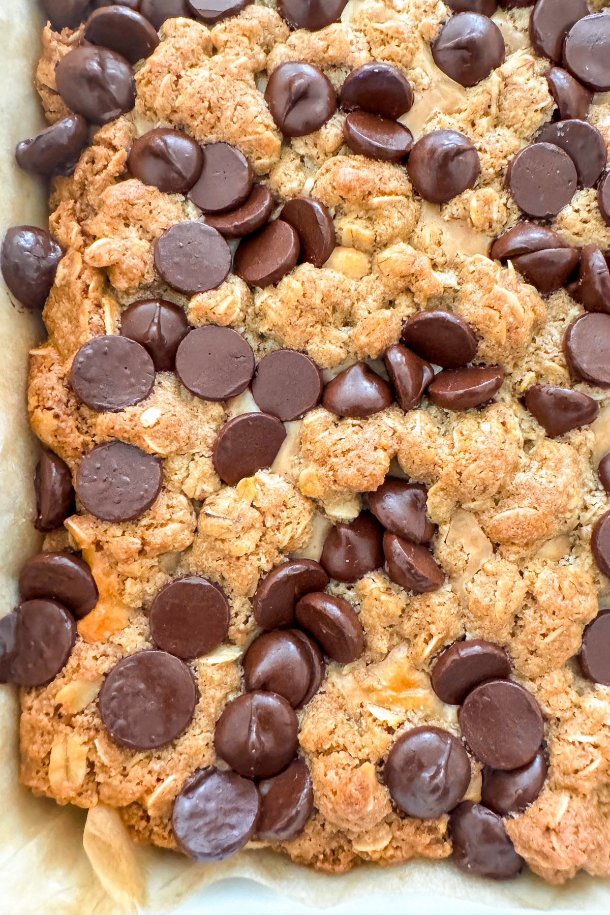 oat bars with chocolate chips in pan from above