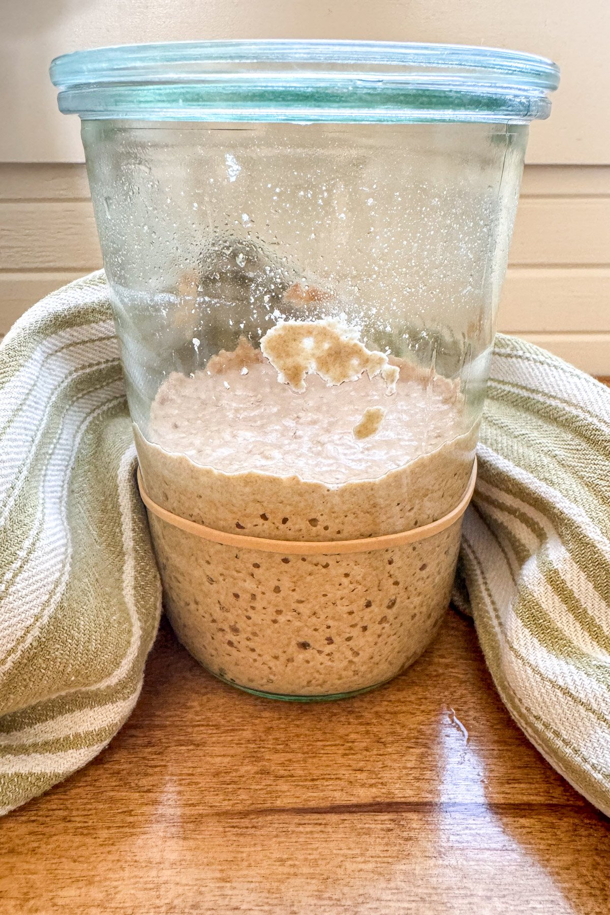 active sourdough starter in jar