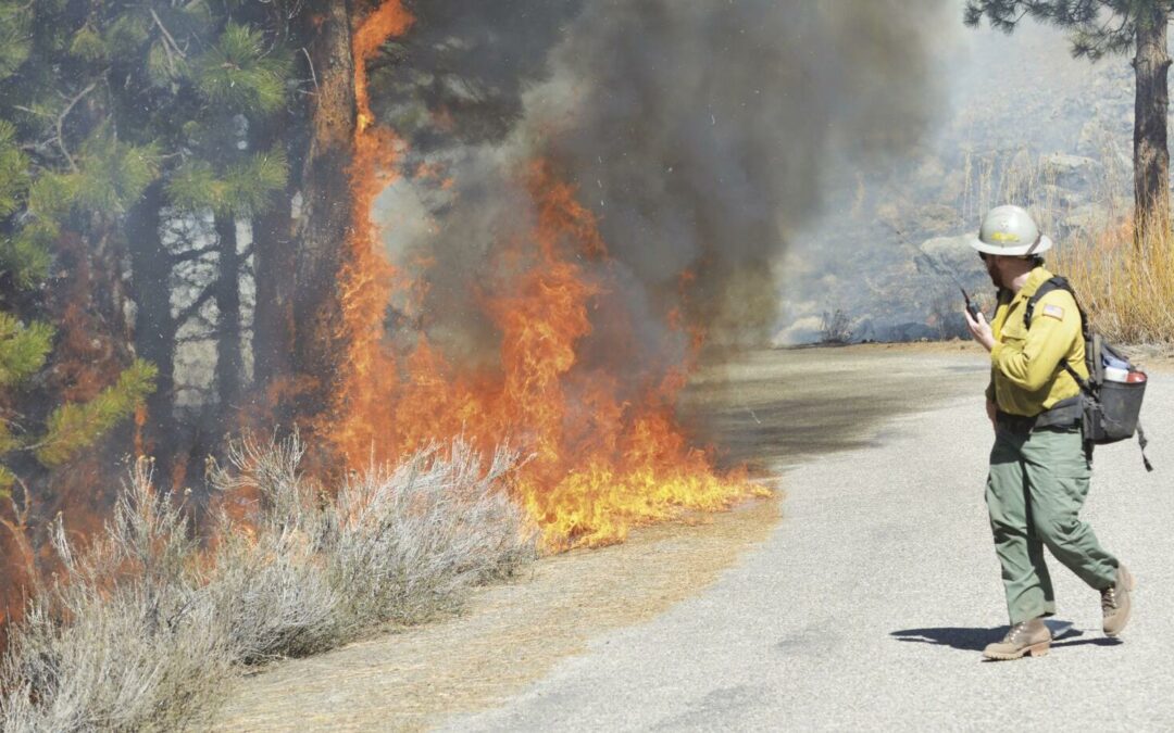 Spring fires intended to mimic natural blazes
