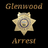 5/8/24 – LCSO Case #24-2181 – Deputies arrest male for robbery and assault (Photo)